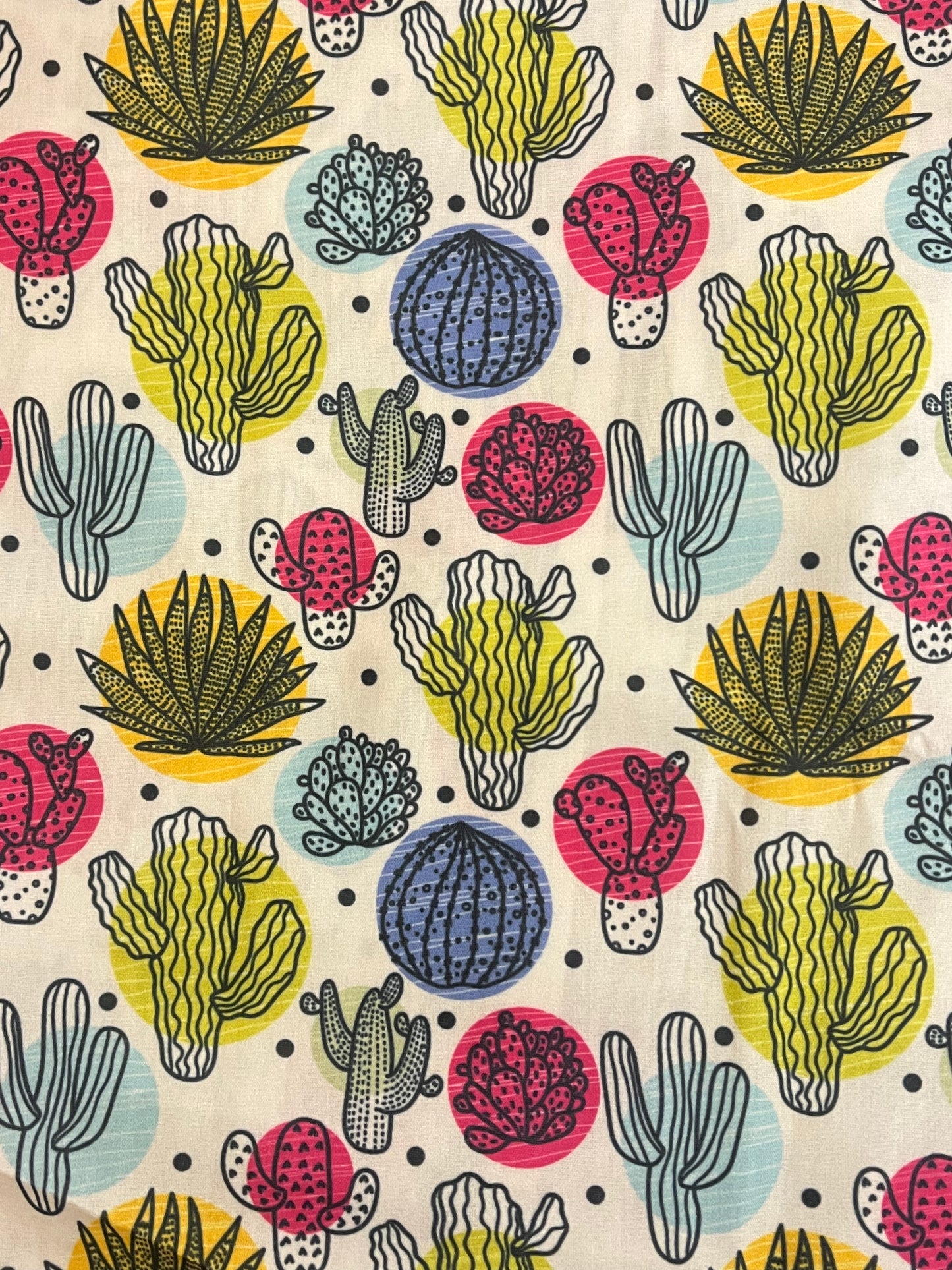 Astuccio cactus
