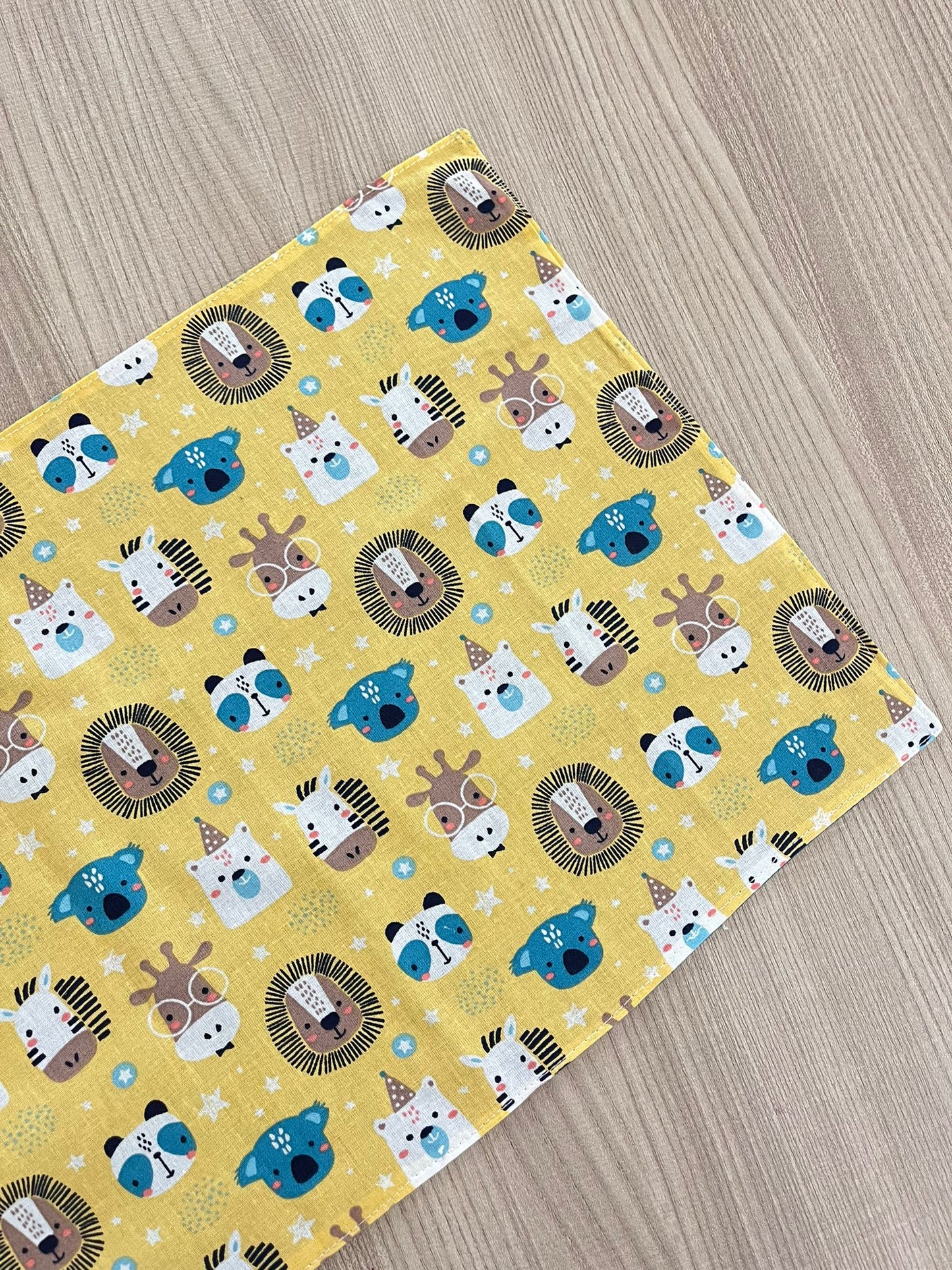 Set asilo