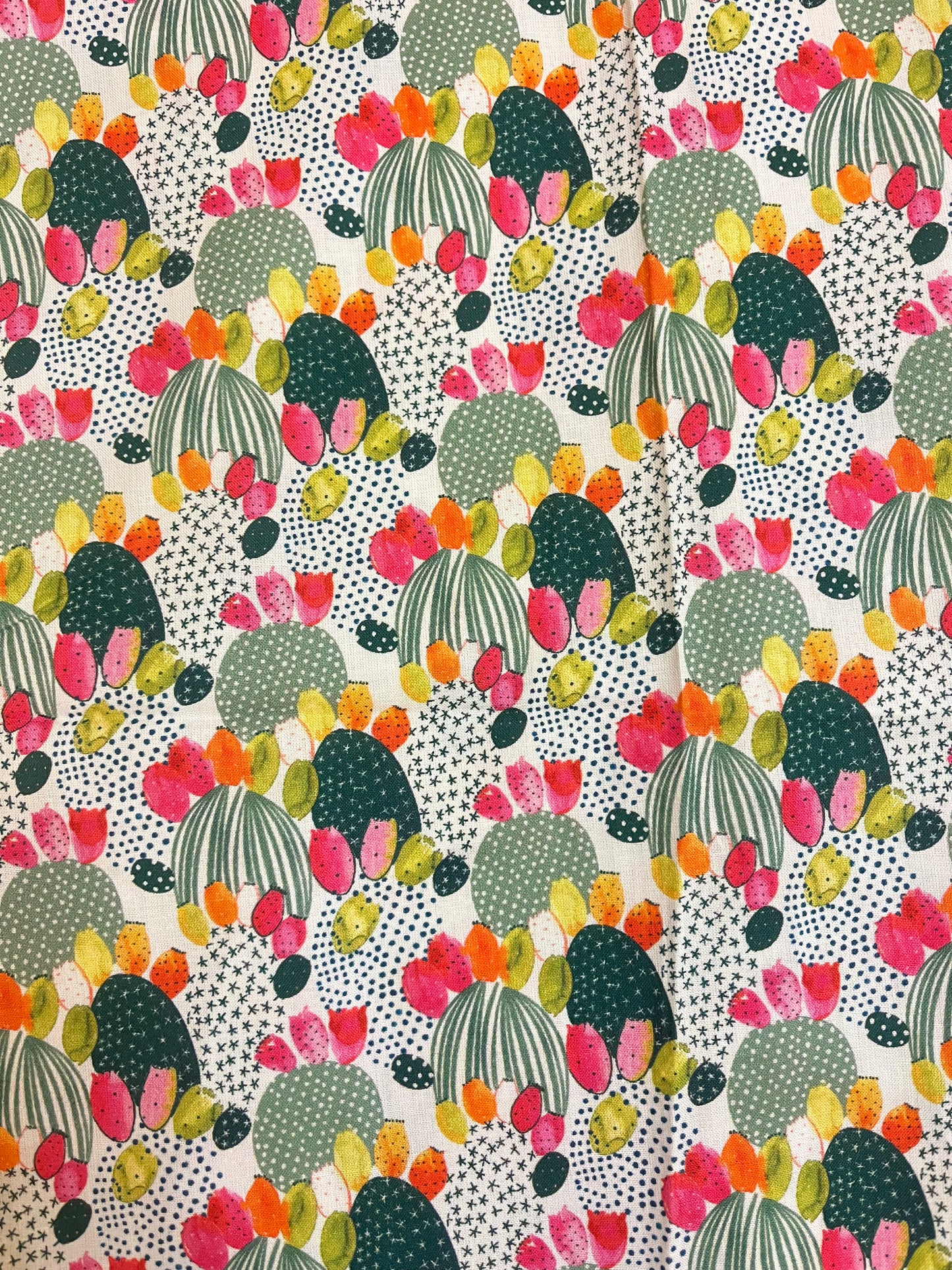 CoverBook Cactus