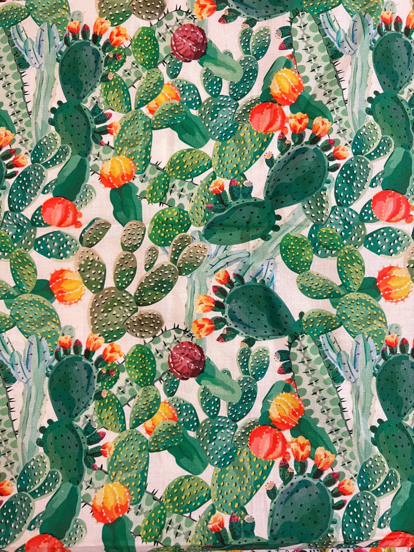 CoverBook Cactus