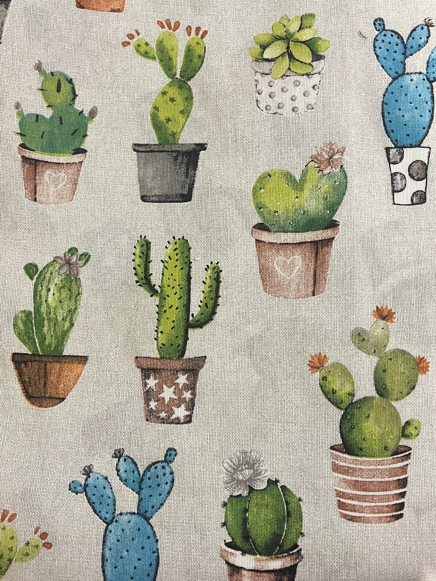 CoverBook Cactus