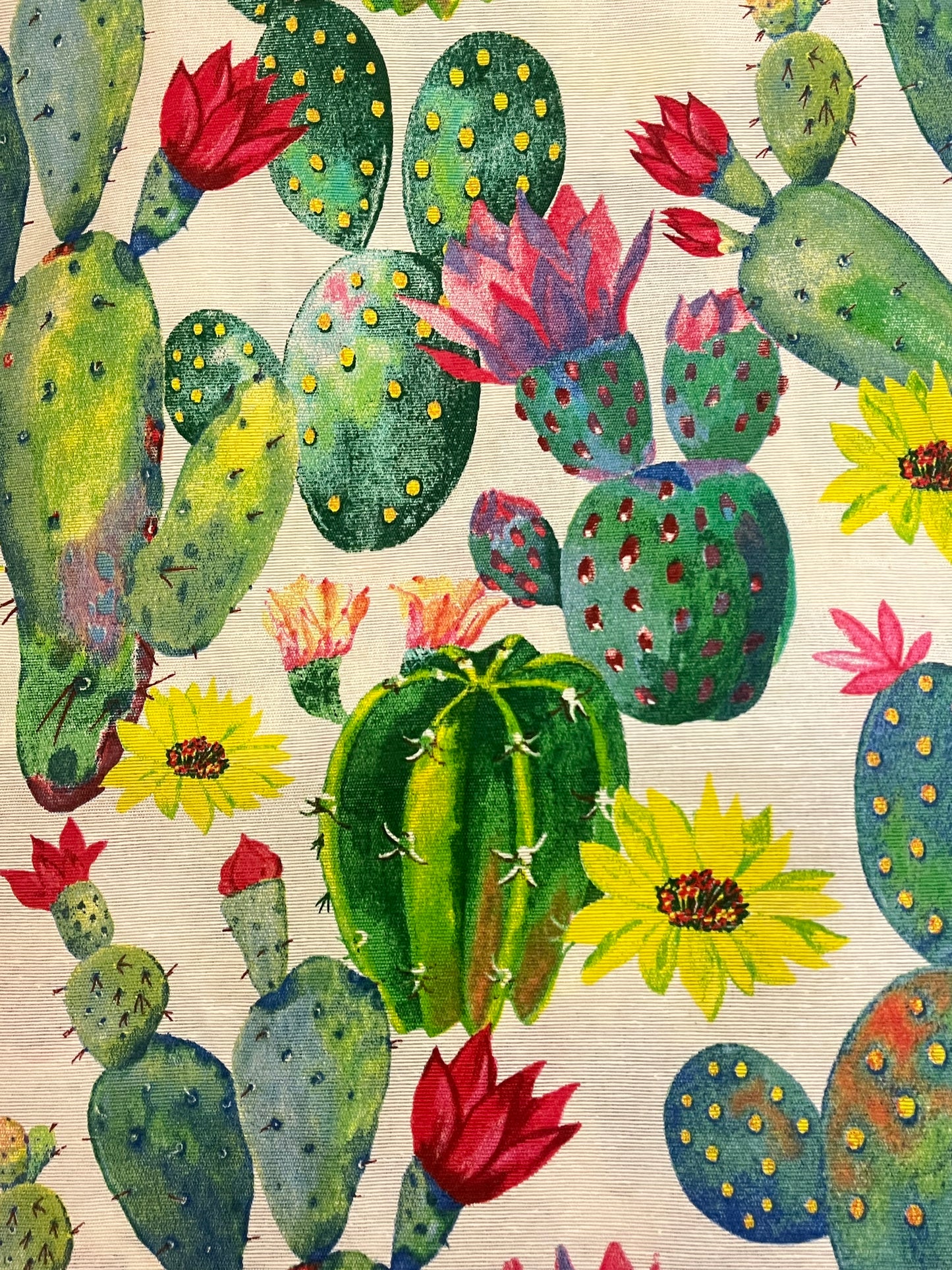 CoverBook Cactus